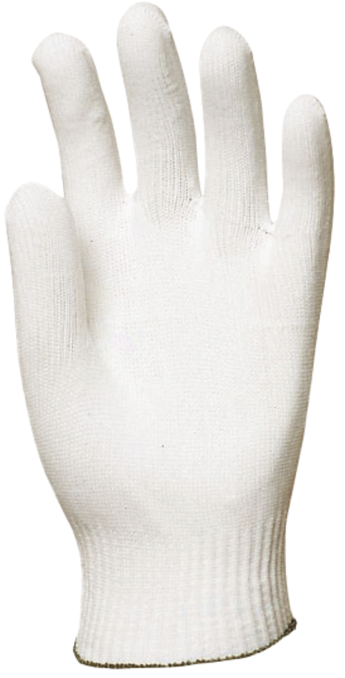 GANLITE 6010
